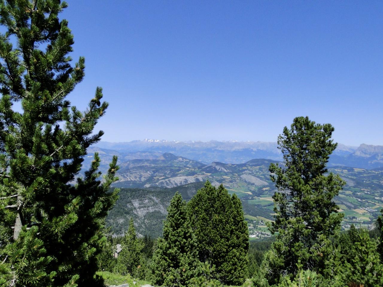 DSC05672
