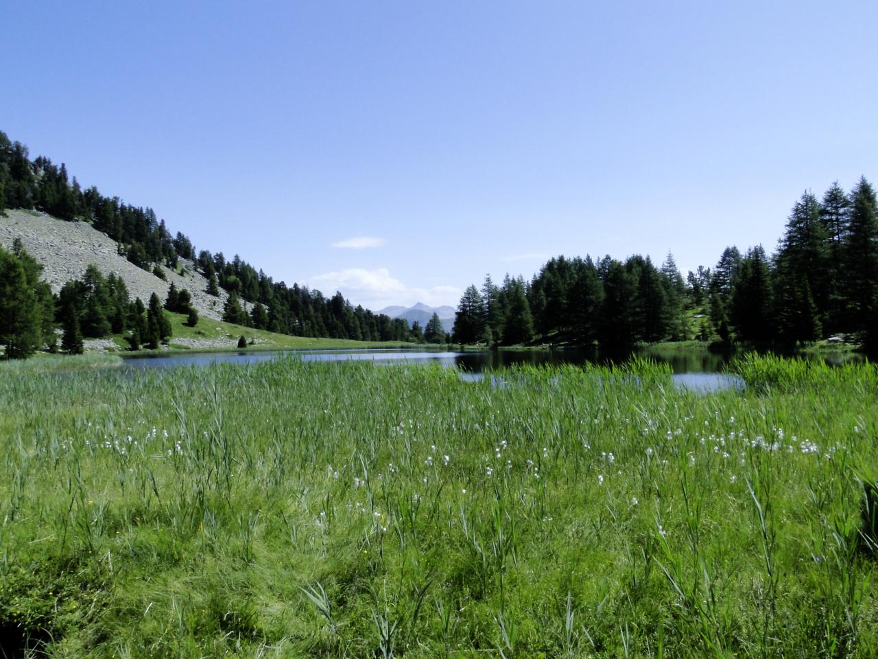 DSC05736