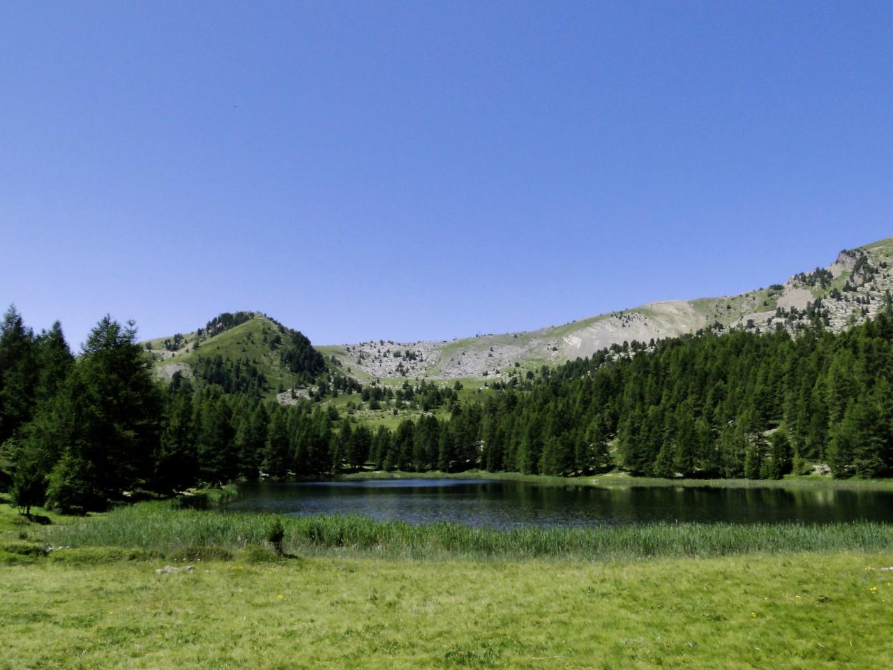 DSC05746