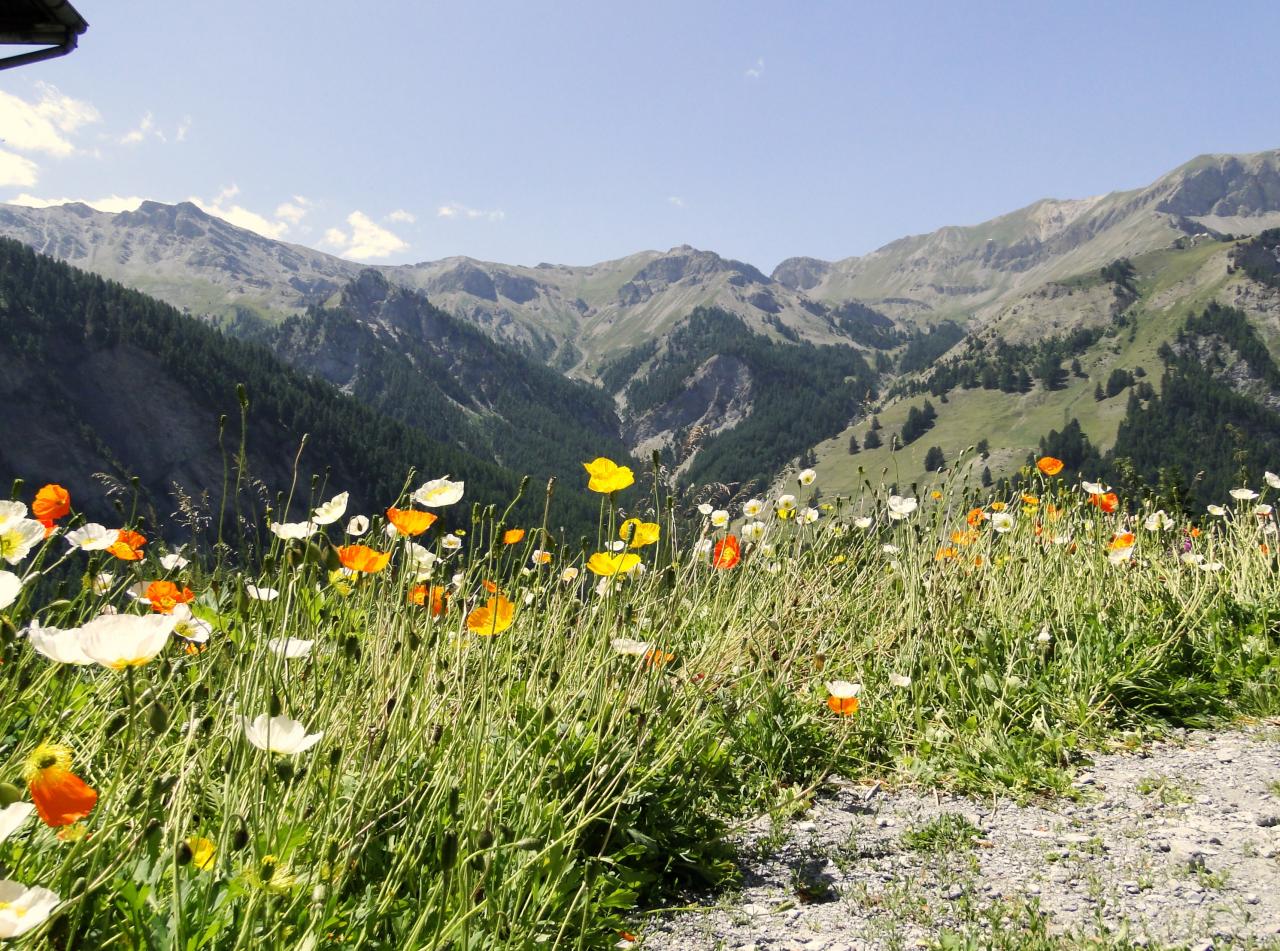 photo de montagne