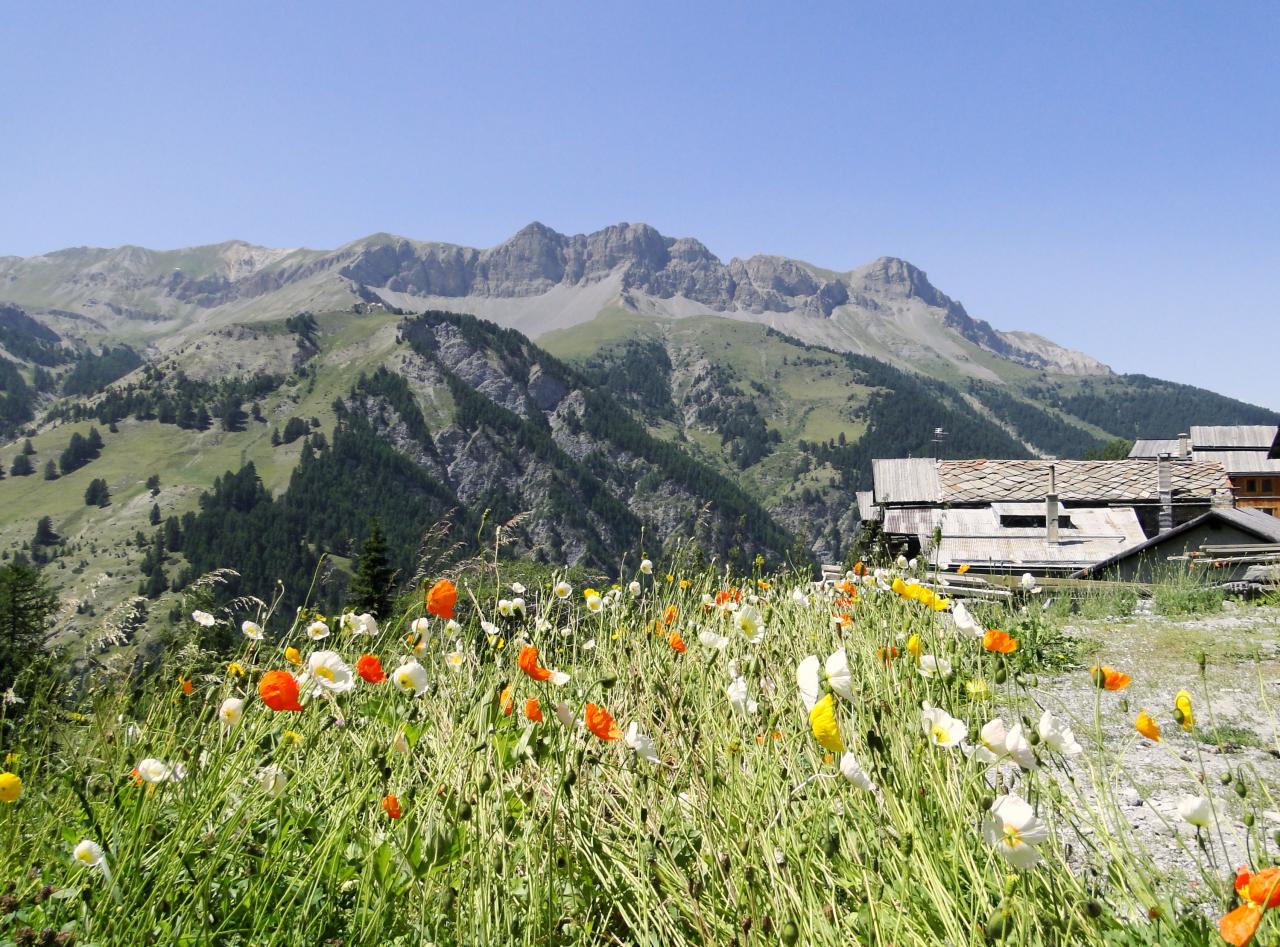 photo de montagne