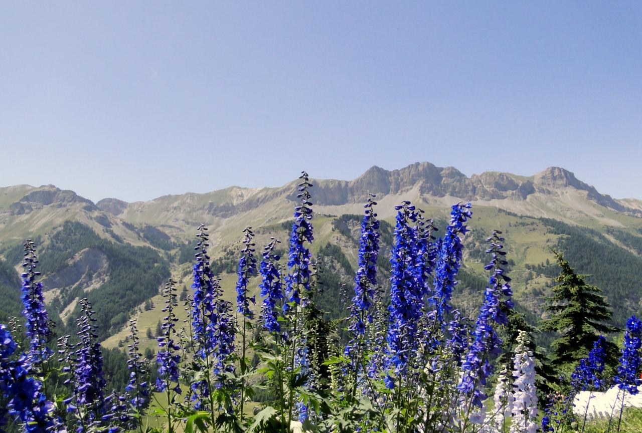 photo de montagne